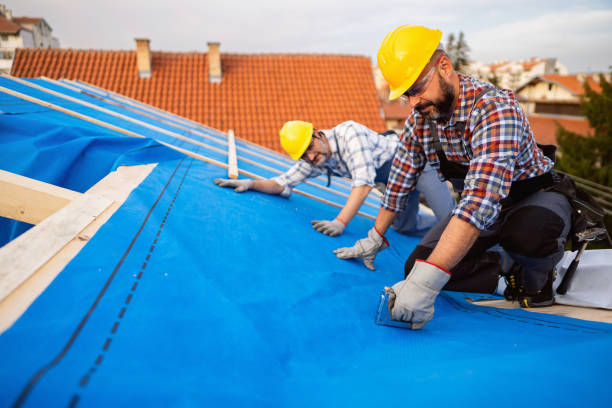 Best Roof Maintenance Services  in Woodacre, CA